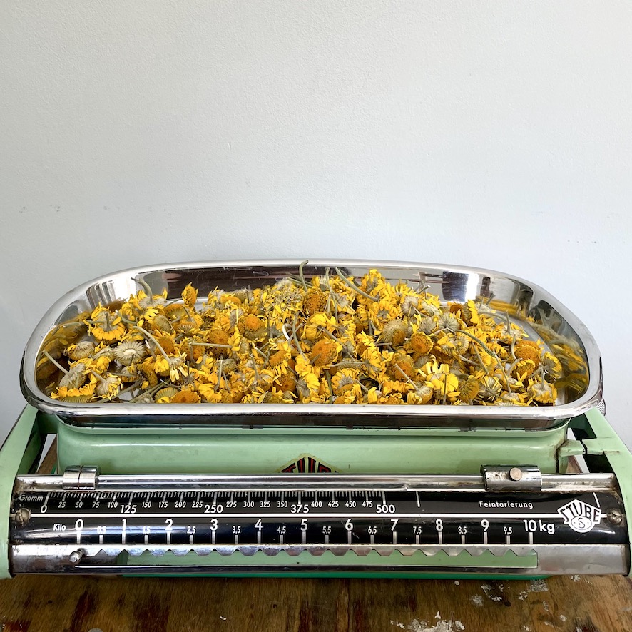 Healing Textiles - Abwiegen von Heilpflanzen für Färbeprozess // Weighing medicinal plants for dyeing process