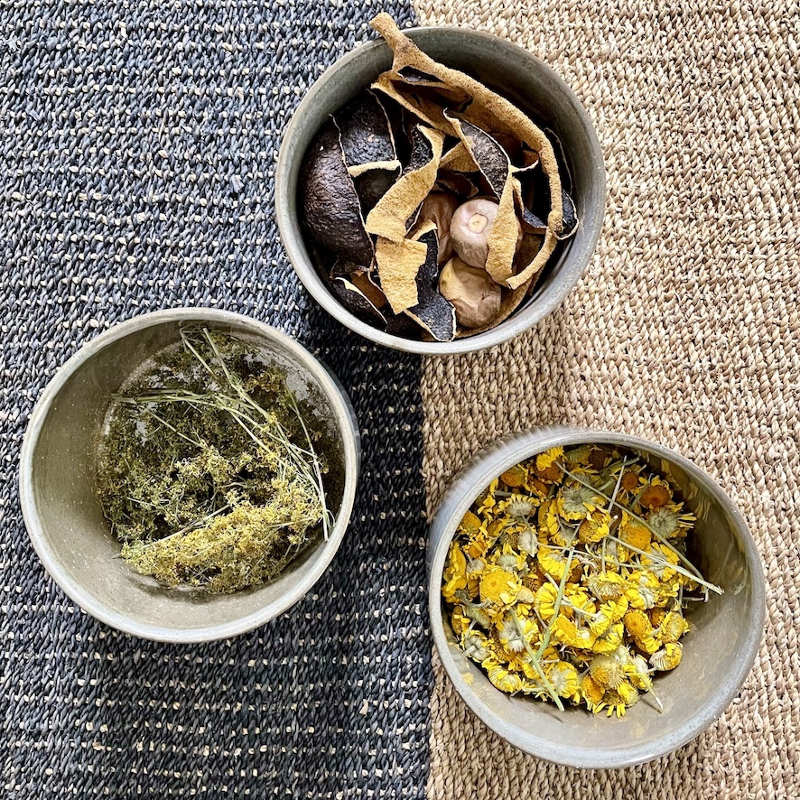 Healing Textiles - Auswahl verschiedener Heilpflanzen // Selection of different medicinal plants