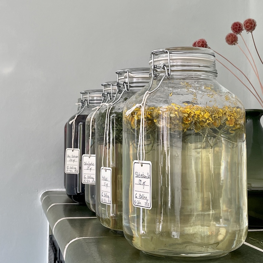 Healing Textiles - Herstellen von Pflanzenauszügen // Preparation of plant extracts