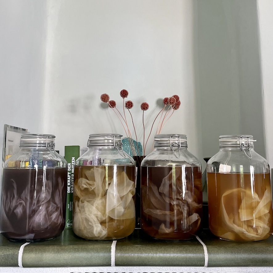 Healing Textiles - Solarfärbung // Solar Dyeing