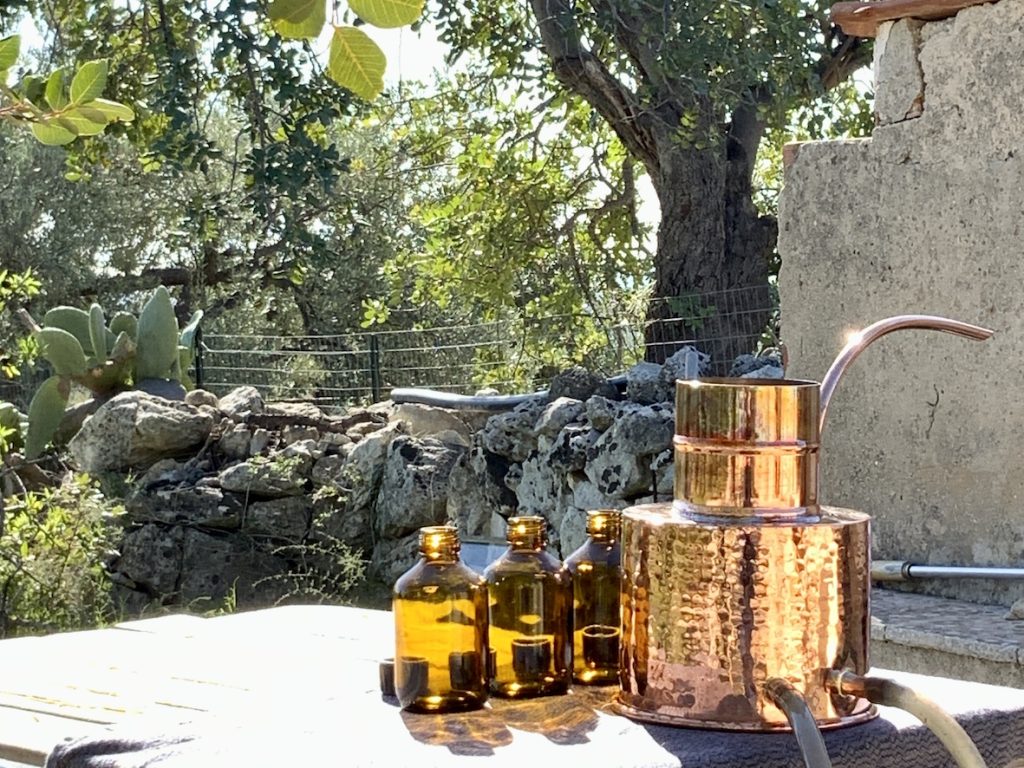 Design Research The Sicily Project - Herstellung von Pflanzen-Destillaten // Production of destillates from local plants