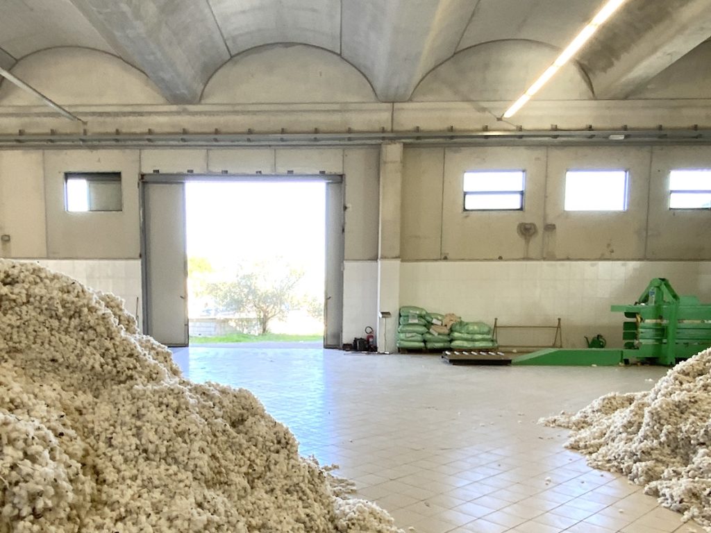 Design Research The Sicily Project - Organic Cotton Production
